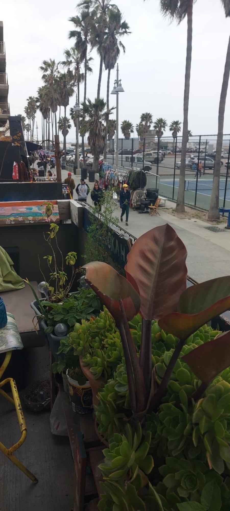 Ocean Front Vortex Female Hostel Private Rooms Free Bikes Los Angeles Exterior foto